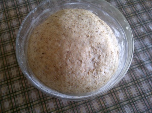 bread dough rising in bowl