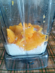 blender with mango and tofu