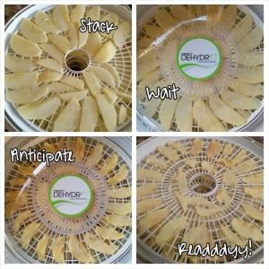 Apple chips made in dehydrator