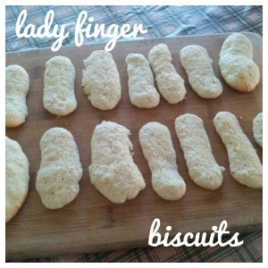 Lady finger biscuits